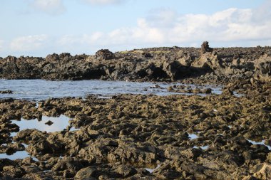 Denize, dalgalara, dağlara.