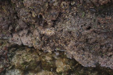 Denize, dalgalara, dağlara.