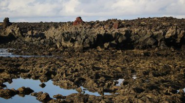 Denize, dalgalara, dağlara.
