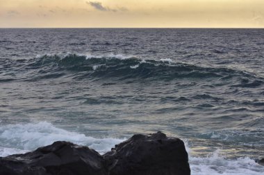 Güzel gün batımı ve deniz dalgası