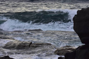 Kayalıklarda dalgalar