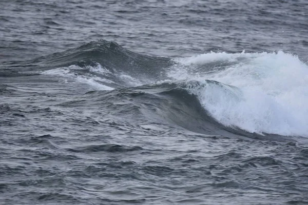 Vågen Kanarieöarnas Kust — Stockfoto