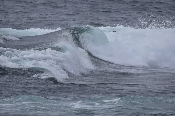 Волна Побережье Канарских Островов — стоковое фото