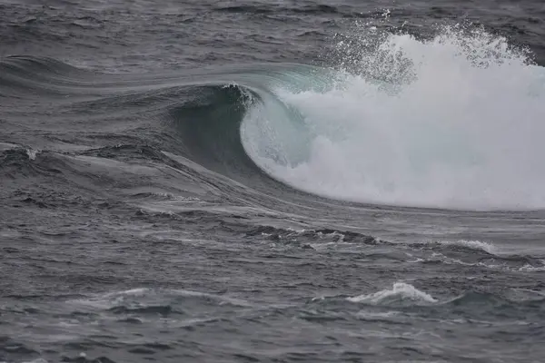 Wave Coast Canary Islands — Stock Photo, Image