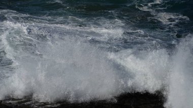 Sahilde büyük bir dalga