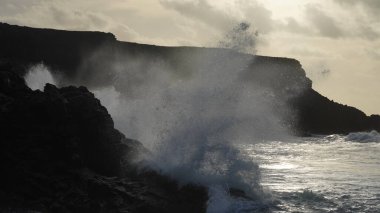 Sahilde dalgalar kopuyor