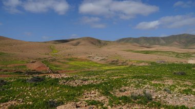 Fuerteventura şehrinin eski kalıntıları
