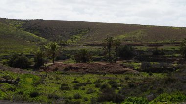 Fuerteventura şehrinin eski kalıntıları