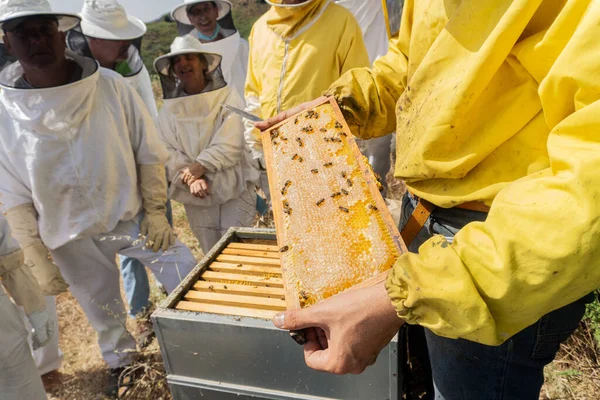 Group Beekeepers Working Apiary Modern Beekeeping Concept — Stock fotografie