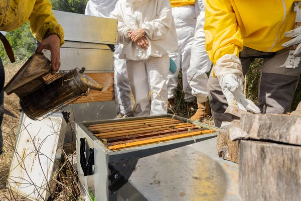 Beekeeper Working Smoking Horizontal Hives Get Bees Out Modern Beekeeping — Zdjęcie stockowe