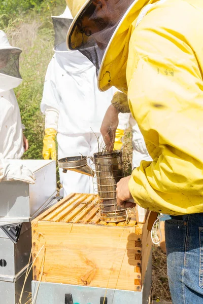 Beekeepers Smoking Hives Using Smoker — Stock fotografie