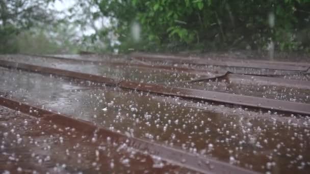 Het Regent Het Dak Met Hagel — Stockvideo