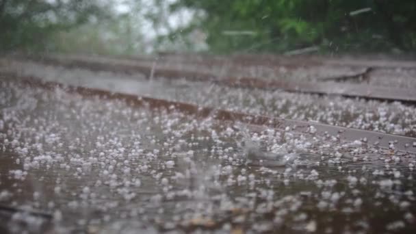 Het Regent Het Dak Met Hagel — Stockvideo