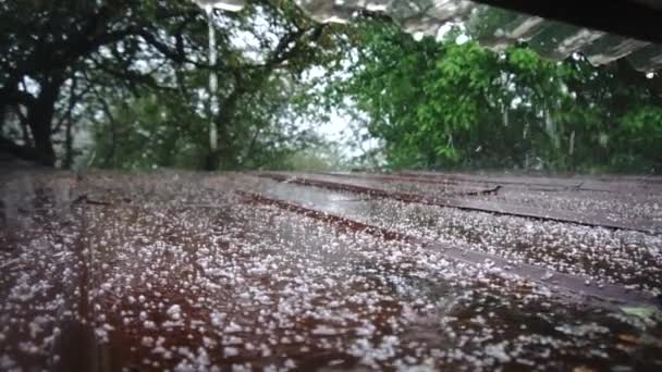 Het Regent Het Dak Met Hagel — Stockvideo