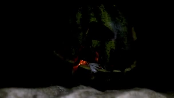10月のハロウィーンの恐ろしい休日に燃える炎と緑のスイカの火傷 — ストック動画
