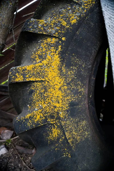 Old Tractor Tire Texture — Stock Photo, Image