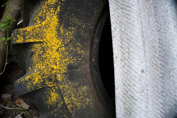 Old Tractor Tire Texture — Stock Photo, Image