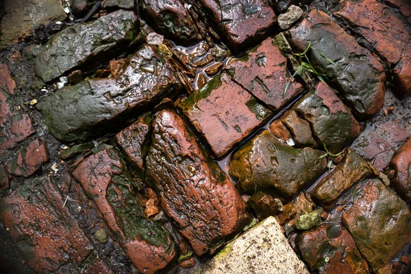 Nassen Ziegel Textur Hintergründe — Stockfoto