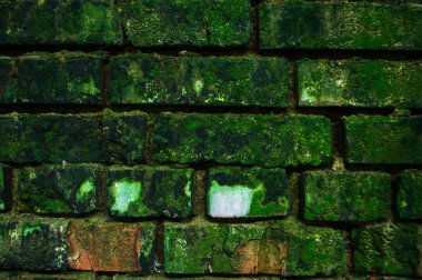 Eski binalar eski püskü yosun kaplı duvarlarla boyanmış.