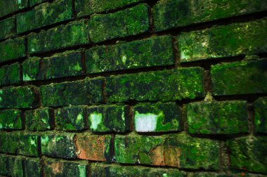 Eski binalar eski püskü yosun kaplı duvarlarla boyanmış.