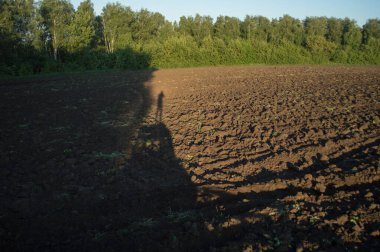 Traktör, yaz hasadından sonra gelecek yıla hazırlanmak için tarlayı sürüyor.