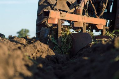Traktör, yaz hasadından sonra gelecek yıla hazırlanmak için tarlayı sürüyor.