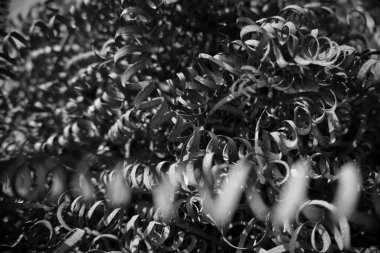 siyah ve beyaz metal atık dokusu