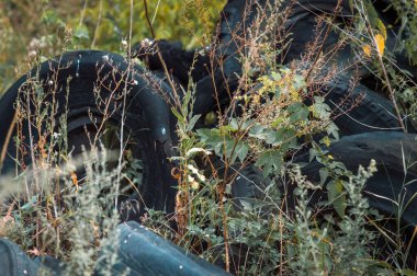 Eski araba lastiklerini geri dönüşümle doldurmak lastik atık çöplüğü
