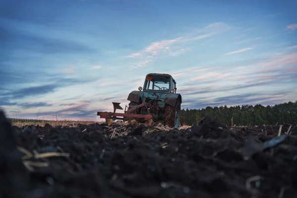 Kék Öreg Traktor Szántja Mezőt Este Naplementekor — Stock Fotó