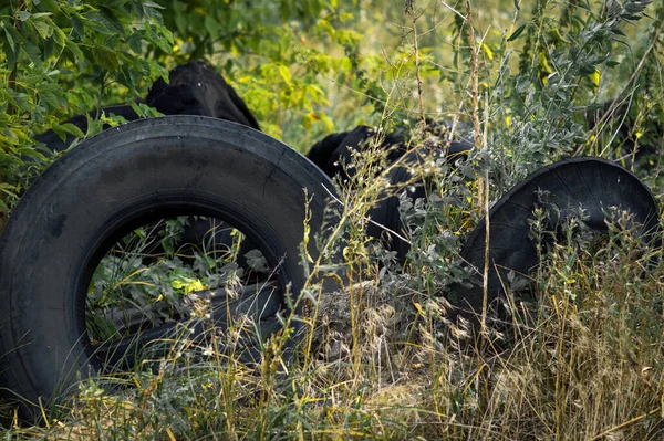 Recycling Old Car Tires Landfill Rubber Waste Dump — Stock Photo, Image