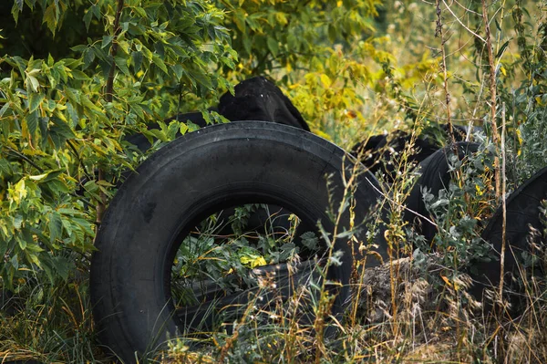 Recycling Old Car Tires Landfill Rubber Waste Dump — Stock Photo, Image
