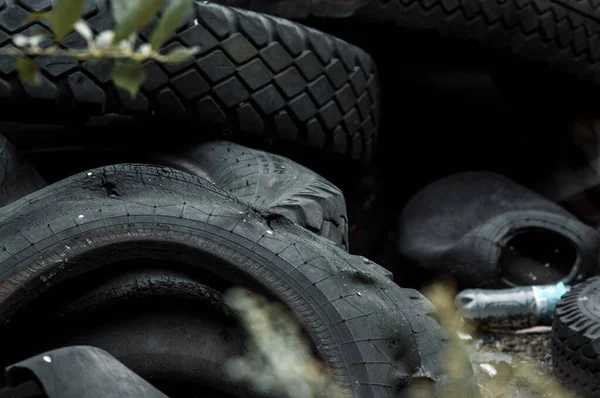 Reciclaje Neumáticos Automóviles Viejos Vertedero Vertedero Residuos Caucho —  Fotos de Stock