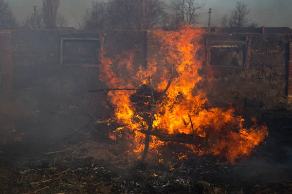 Tűz Erdőben — Stock Fotó