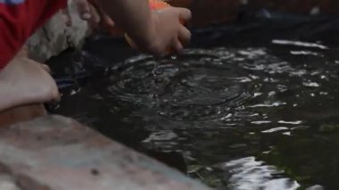 Su oyunları doğa yeşili