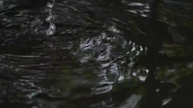 Su oyunları doğa yeşili