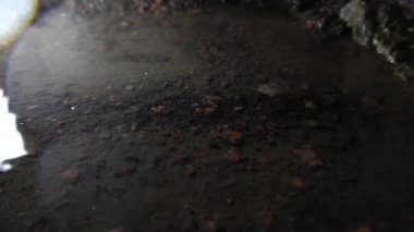 Eriyen kardan damlayan su damlaları çatıdan bir su birikintisine damlıyor.