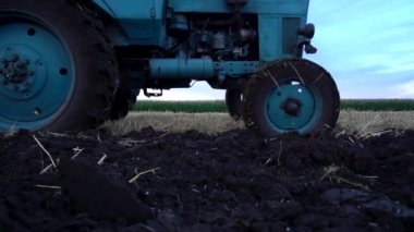 mavi eski traktör buğdaydan sonra tarlayı sürüyor