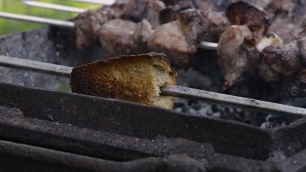 Acampar Aire Libre Cocinar Carne Parrilla — Vídeos de Stock