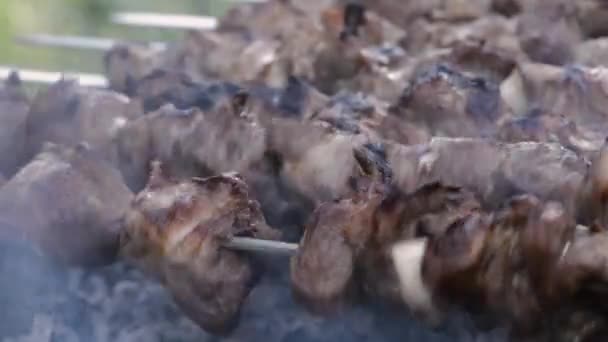 Campeggio All Aperto Cucinare Carne Alla Griglia — Video Stock