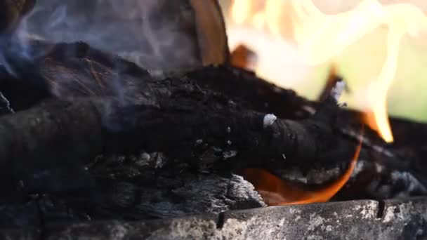 Draußen Campen Und Fleisch Auf Dem Grill Zubereiten — Stockvideo