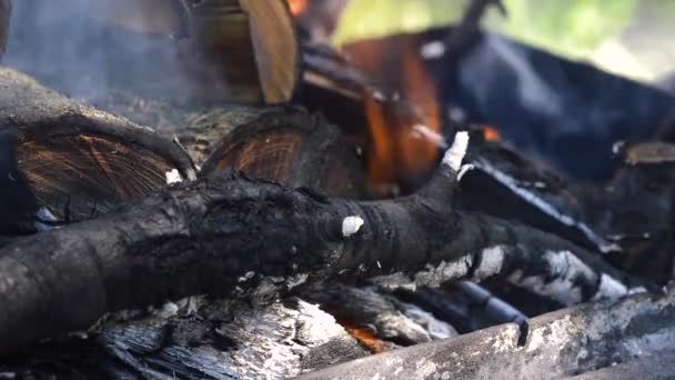 Draußen Campen Und Fleisch Auf Dem Grill Zubereiten — Stockvideo