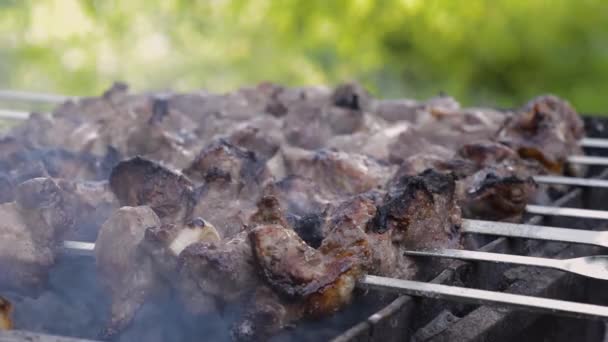 Campeggio All Aperto Cucinare Carne Alla Griglia — Video Stock