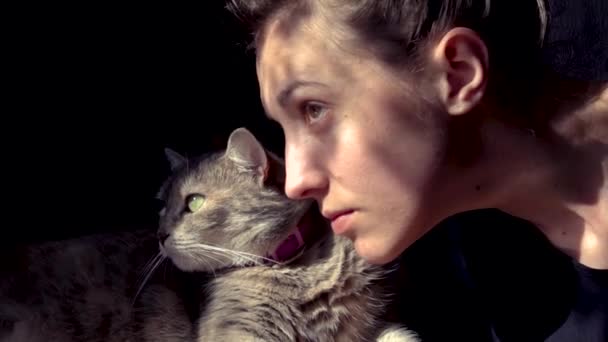 グレーかわいい猫と女の子ショー愛のためのペット — ストック動画