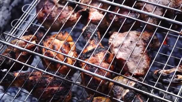 Legna Ardere Nel Barbecue Cibo Fuoco Con Stufato Pollo — Video Stock