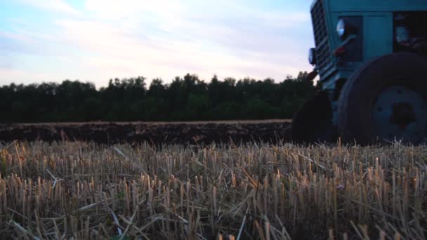 Traktor Tua Biru Membajak Lapangan Setelah Gandum — Stok Video