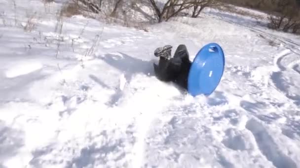Їздити Слайду Відкритому Повітрі Взимку Мама Син Таксономічним Собакою Отримують — стокове відео