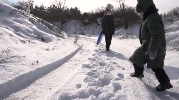 Passeio Para Baixo Corrediça Livre Inverno Mãe Filho Com Cão — Vídeo de Stock