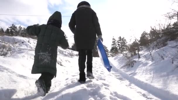 Їздити Слайду Відкритому Повітрі Взимку Мама Син Таксономічним Собакою Отримують — стокове відео