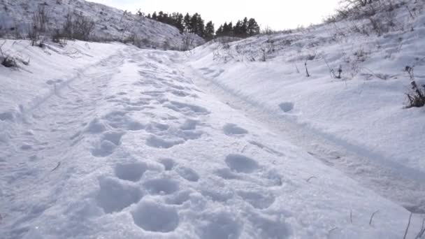 Suelo Está Cubierto Nieve Fría Blanca Día Soleado Helado — Vídeos de Stock