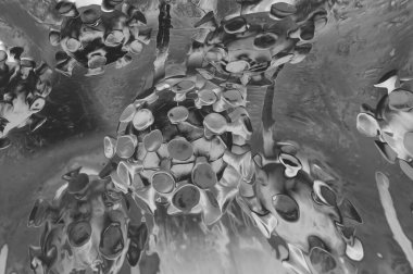 Sanat koronavirüsü, giden yılın düzenleyici virüsünü çizer